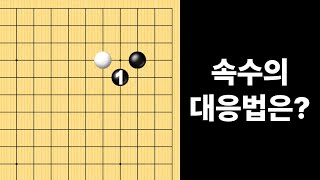 속수의 대응법은?