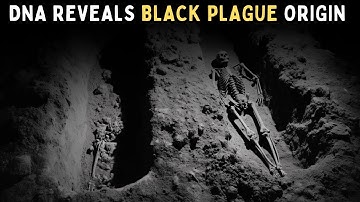 Ancient DNA Finally Reveals the REAL Origin of the Black Death