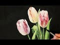 Watercolor Painting | Tulip