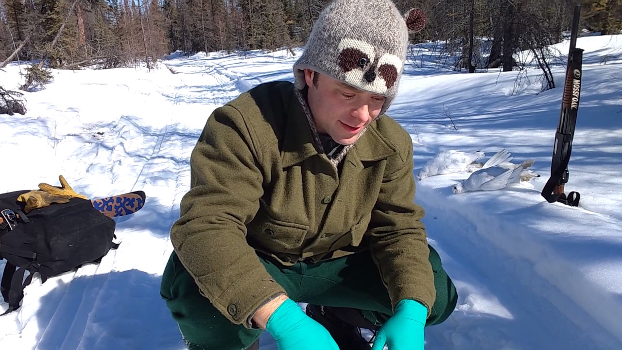 Ptarmigan and Grouse Field Dressing YouTube
