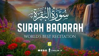 Surah Al-Baqarah Full (سورة البقرة) | Ultimate Most Beautiful Heart Melting Quran #baqarah