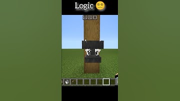 Minecraft Logic 😵‍💫||#logic #minecraft #shorts