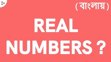 Number Systems - Lesson 11 | What are Real Numbers? - In Bengali (বাংলায়) | Don