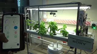 Machine learning and IoT enabled hydroponics system using Sony Spresense screenshot 4