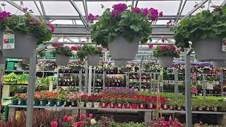 New At The Home Depot Garden Center 2024 || Evergreens, Shrubs, Perennials, Annuals & Planters.