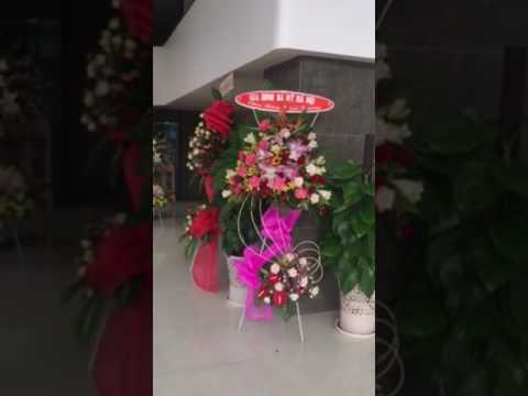 khách sạn gaia phú quốc New Update Toàn cảnh khách sạn GAIA Phú quốc