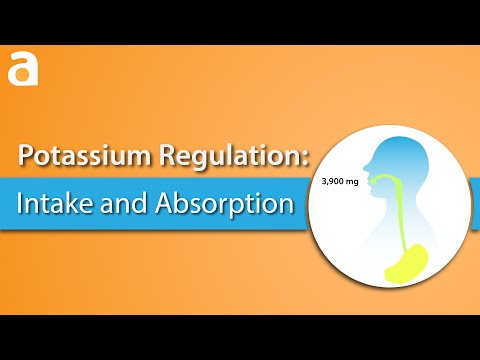 Potassium Regulation: Intake and Absorption
