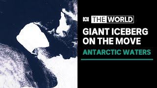 World’s biggest iceberg breaks free from Antarctica after three decades | The World