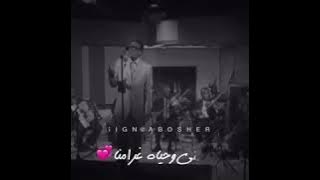 عثمان حسين 💞صدقيني💞