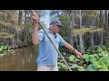 Your Voice Matters Invasive Species And Herbicides Spark Debate At Caddo Lake