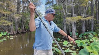 Your Voice Matters: Invasive species and herbicides spark debate at Caddo Lake