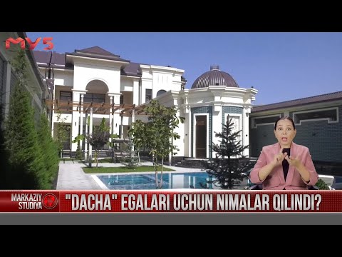 Video: Dacha Amnistiyası Nədir