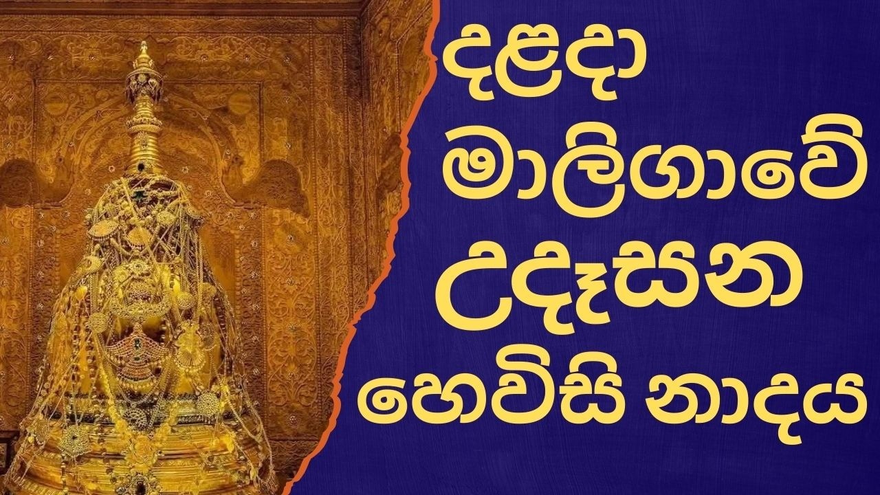 දළදා මාලිගාවේ සවස් තේවා හේවිසි – හදවත පිරිසිදු කරන නාදය 🎵 SIRI DALADA THEWA HEVISI NADAYA