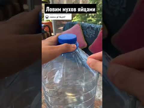 ЛОВУШКА для  МУХ из подручных средств. Дачный лайфхак.