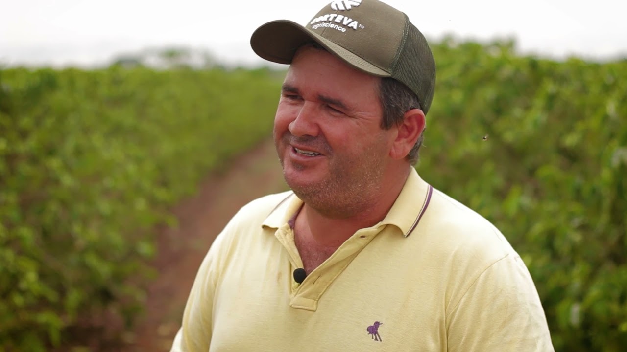 O que funcionou no controle do bicho-mineiro | Revolux® em Ribeirão Corrente/SP