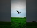 How amazing is this drone? Manta 3.6 from Axisflying o3 footage