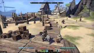 Elder Scrolls Online graphics issue