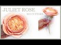 Juliet Rose Tutorial: NO CUTTERS Sugar Rose David Austin Style - Gumpaste
