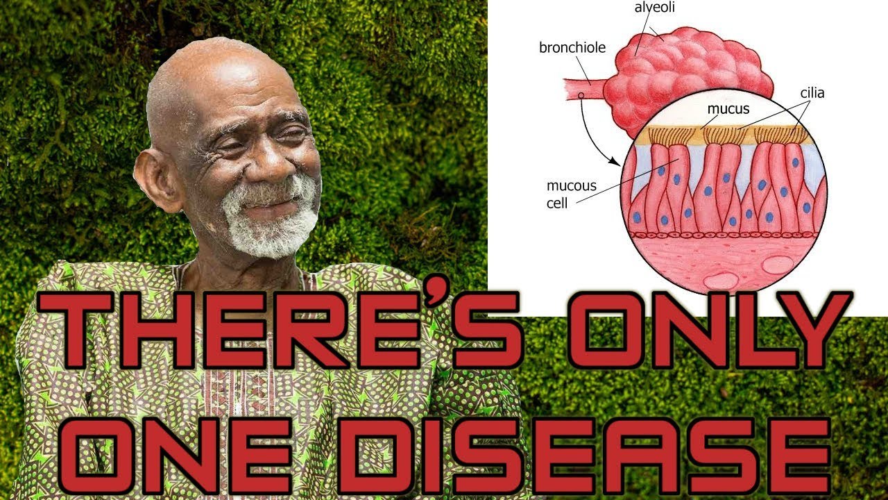 Dr Sebi Reveals Herbs For Mucus Removal