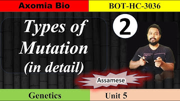 Types of Mutation|L2| Genetics| 3rd sem botany| GU| Dr. Rajib Borah| Assamese| Axomia Bio
