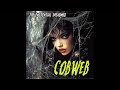 The Existential Dreadniks - Cobweb | Gothic Neo-Psych