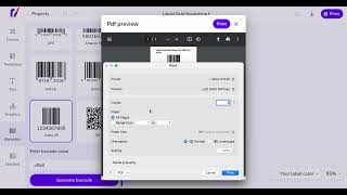 How To Fix Rollo Printing Issue | Misalignment | 2x1 Labels | 4x6 Labels