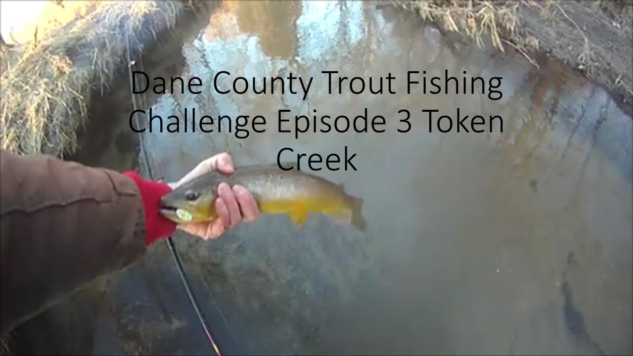 Dane County Trout Fishing Challenge Episode 3 Token Creek YouTube