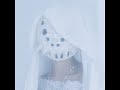 【雑談】歌手とはなそー!!!#shortsvideo