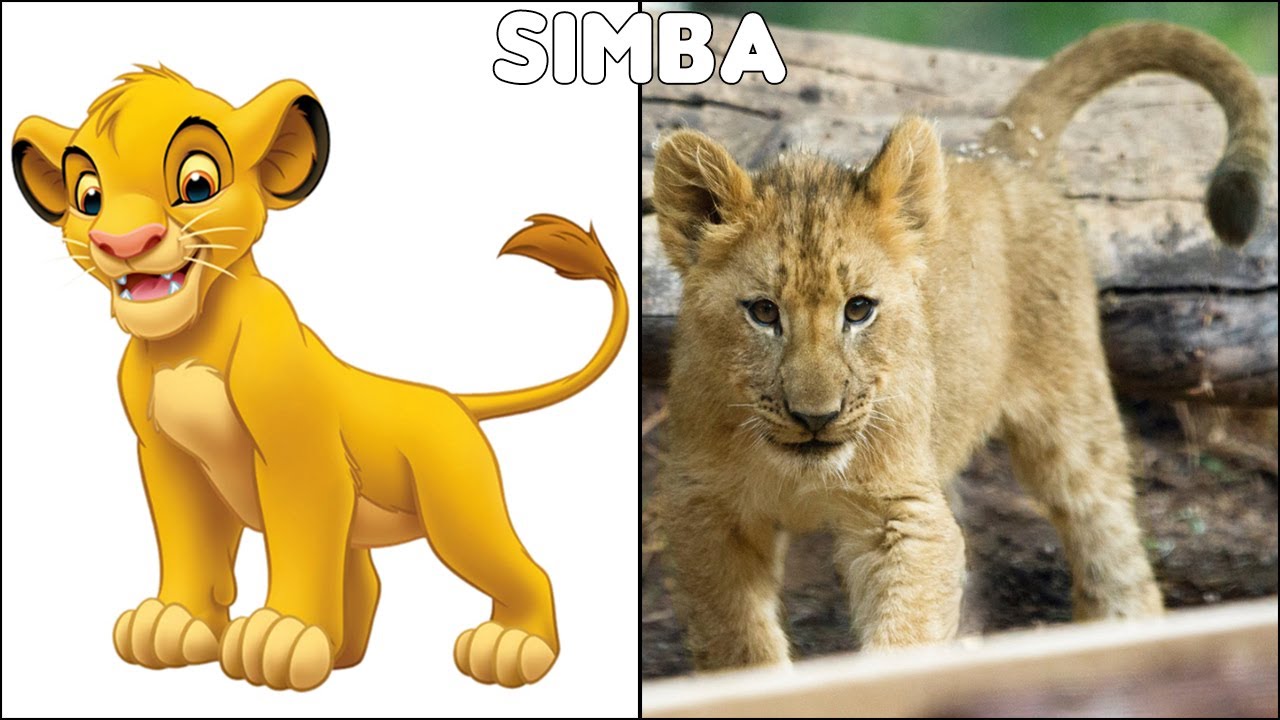 The Lion King Characters In Real Life - Youtube