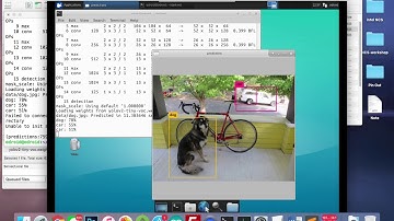 Odroid run Tiny yolov2 Object Detection
