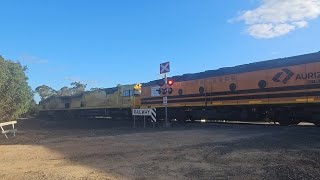 6PM1 Aurizon up Superfreighter (2x ACDs, ALF), Perth to Melbourne, 1930, 6/1/25, Great Western VIC