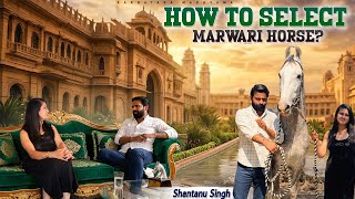How To Select Marwari Horse / Shantanu Singh khempur Interview Part-1 /Marwari Horse / Ravla Khempur