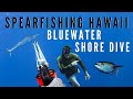 Spearfishing Hawaii Bluewater Shore Dive (with Aaron's Animals)