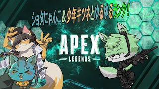 【 APEX LEGENDS 】のんびりケモ3匹でランク！【 コラボ 】