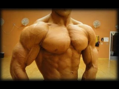 Bodybuilding Chest Exercises Youtube