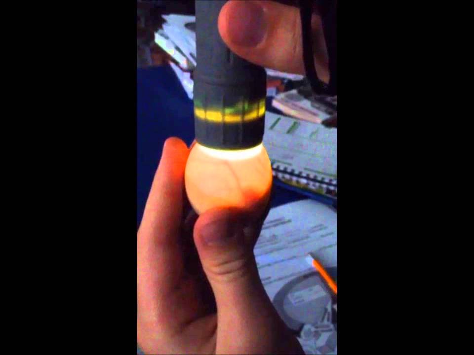 Candling Duck Egg Day 13 Video 2 YouTube
