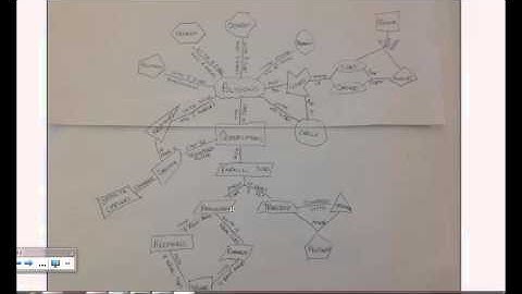 3rd Grade Geometry Concept Map