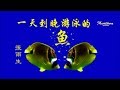 張雨生 一天到晚游泳的魚 魚不停游 從來不想回頭 不問天長地久 張雨生 一天到晚游泳的魚 魚不停游 從來不想回頭 不問天長地久