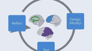 Learning Environment