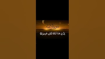 تلاوة تهز القلوب | قرآن كريم مؤثر يبكي العيون
