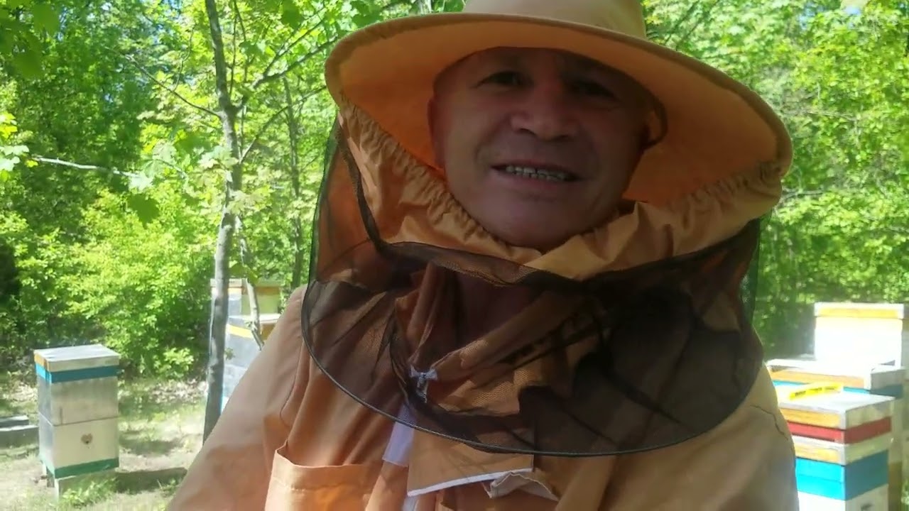 366.Aceeaș zi,aceeaș locație.Stupina fam.Bloșenco.5 mai 2022.