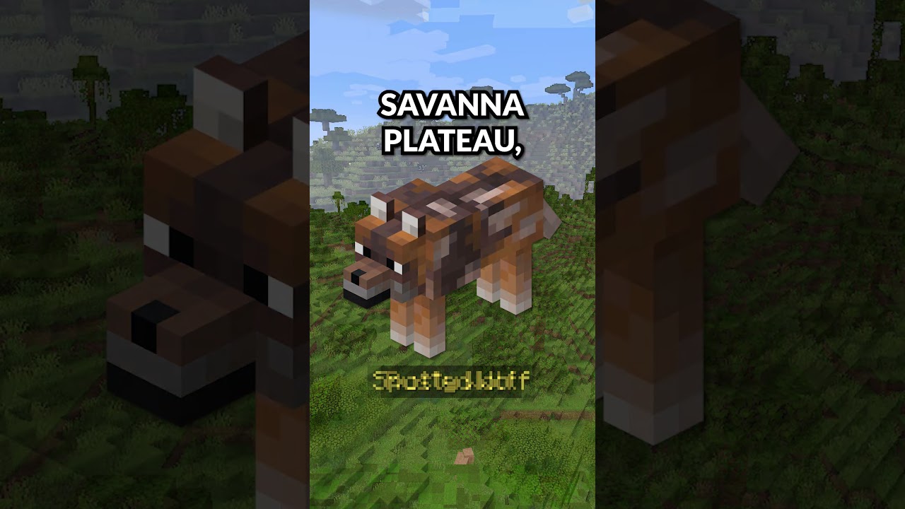 Minecraft's ARMADILLO is finally here!