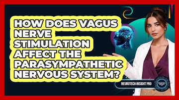 How Does Vagus Nerve Stimulation Affect The Parasympathetic Nervous System? - Neurotech Insight Pro
