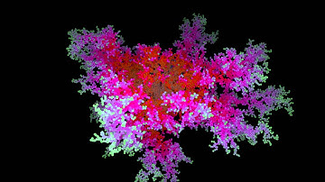 Diffusion Limited Aggregation (3D DLA) 3