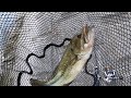 【バス釣り/Bass Fishing】HMKL K-1ミノー50SP 実釣動画