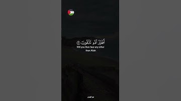 ✨️ قاوم بالدعاء !❤️🍉#قرآن #اكسبلور #تلاوة_خاشعة #islamic #المصحف #فلسطين #غزة