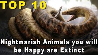 Top 10 Nightmarish Animals you’ll be Happy are Extinct