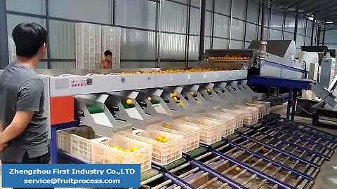 automatic sorting and weighing system, fruit weighing packing line