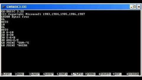 Introduction To GW Basic Lesson 2 (10th Class)