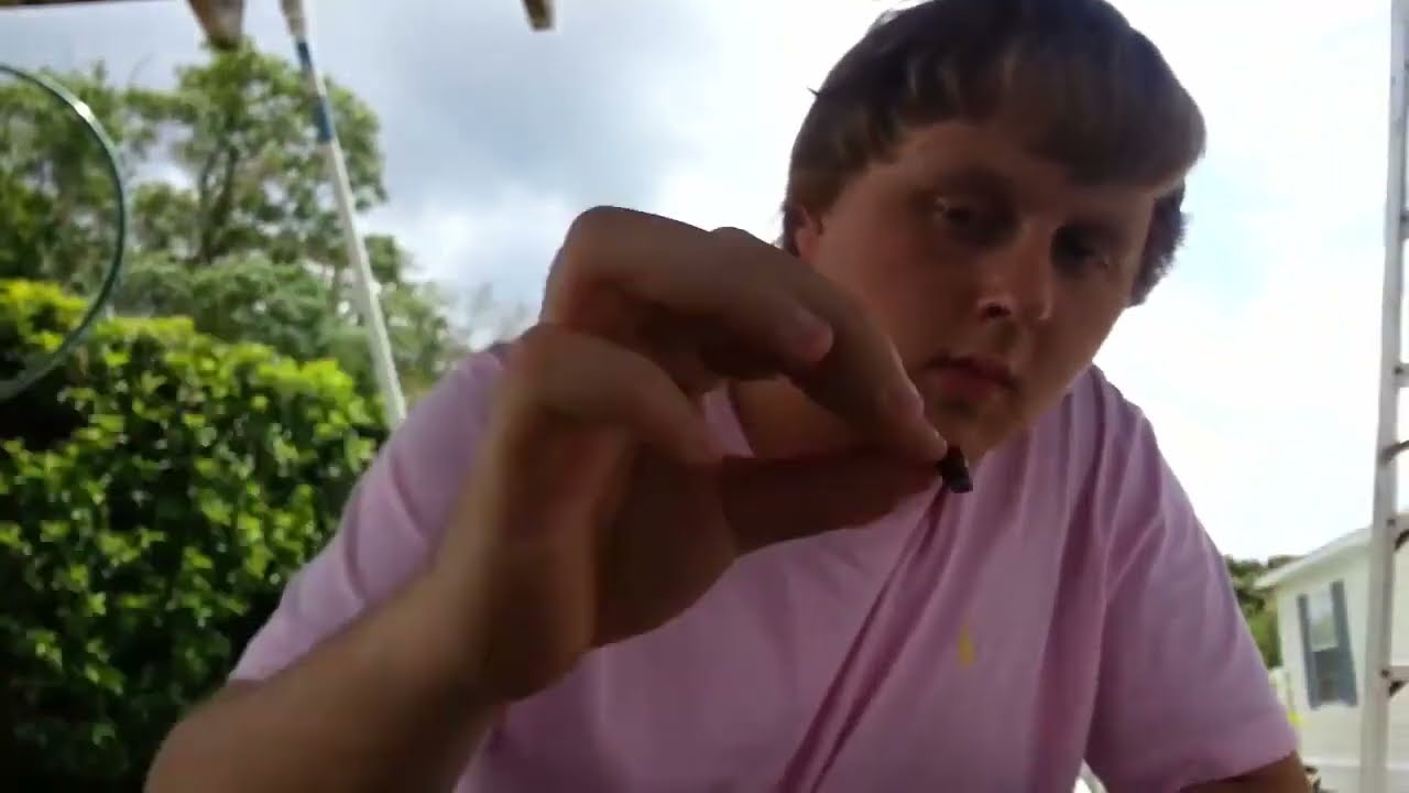 Longneck-   "Crack On Deck" (Official Music Video)